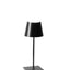 Poldina Table Lamp