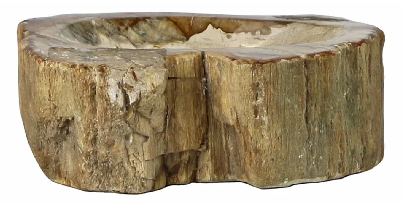 Petrified Wood Soap Dish