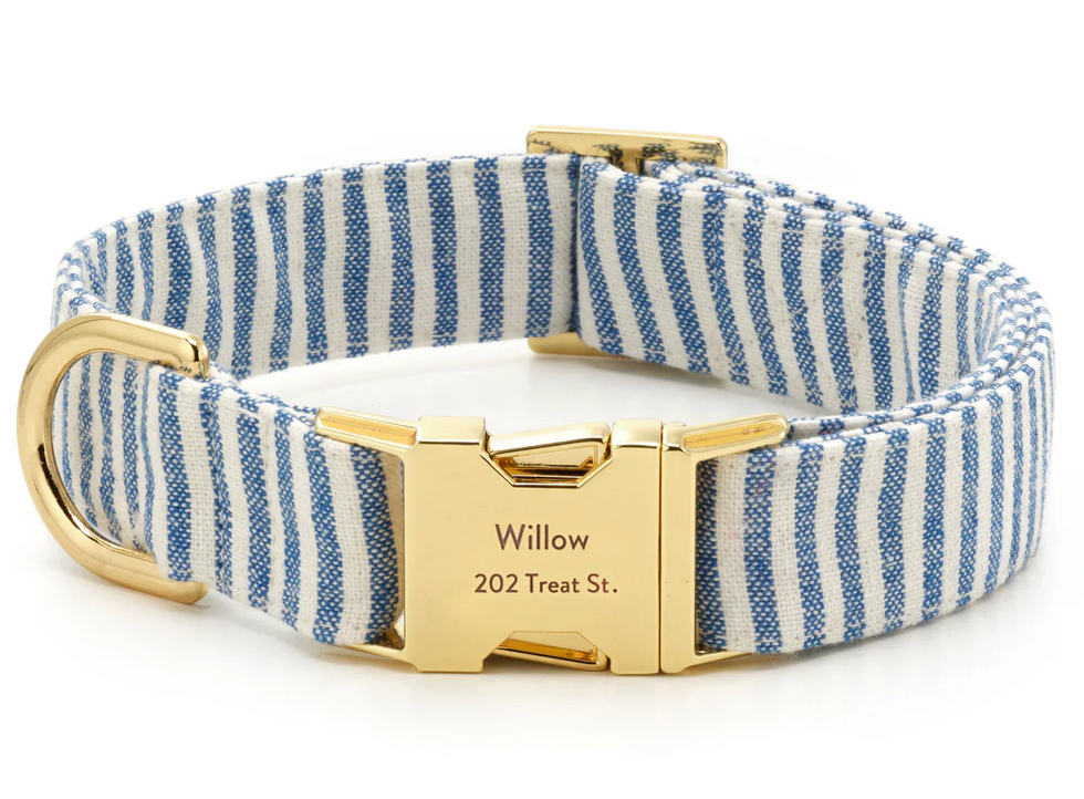 Lake Blue Stripe Dog Collar