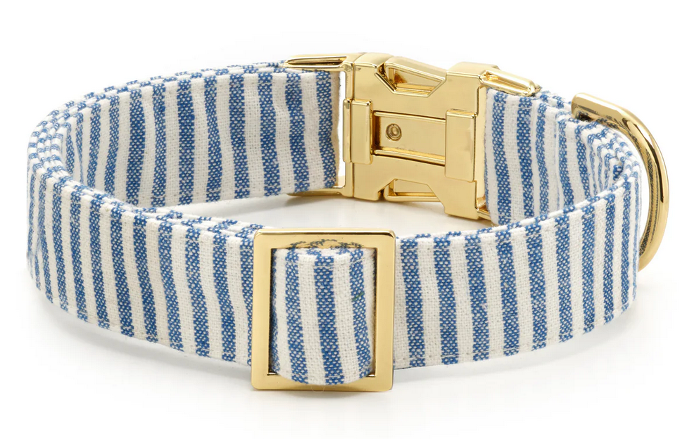 Lake Blue Stripe Dog Collar