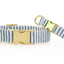 Lake Blue Stripe Dog Collar