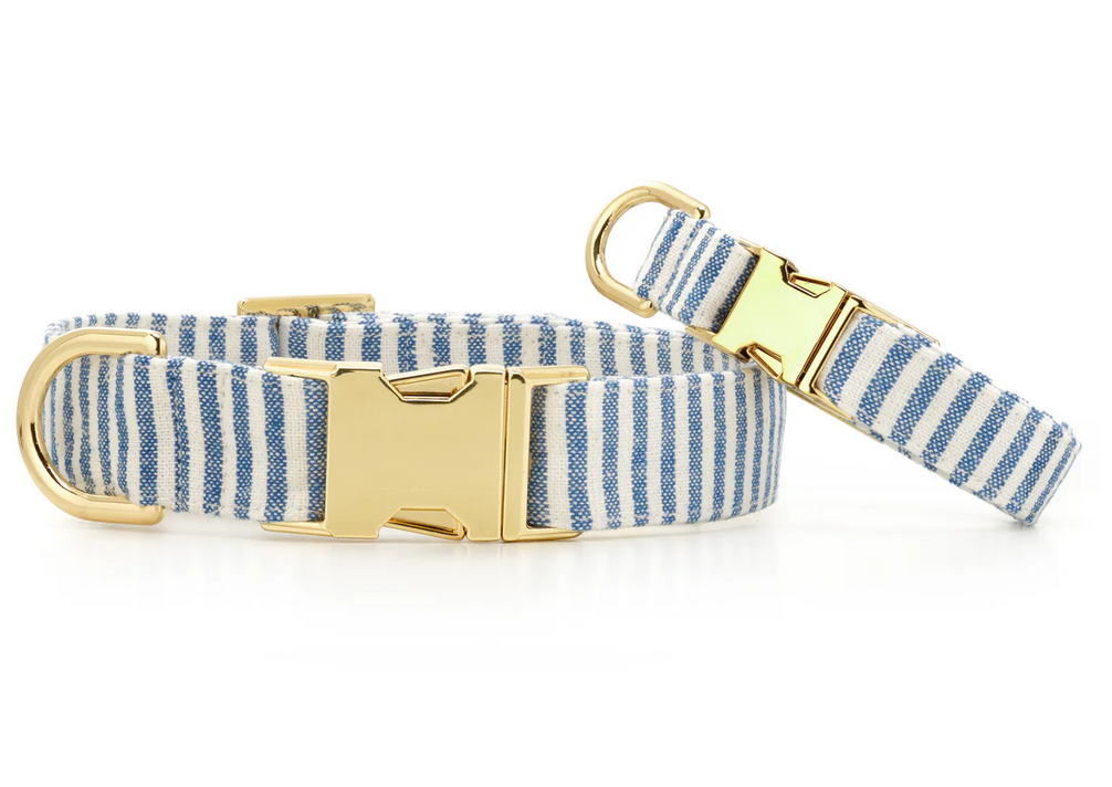 Lake Blue Stripe Dog Collar