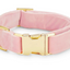 Blush Pink Velvet Dog Collar