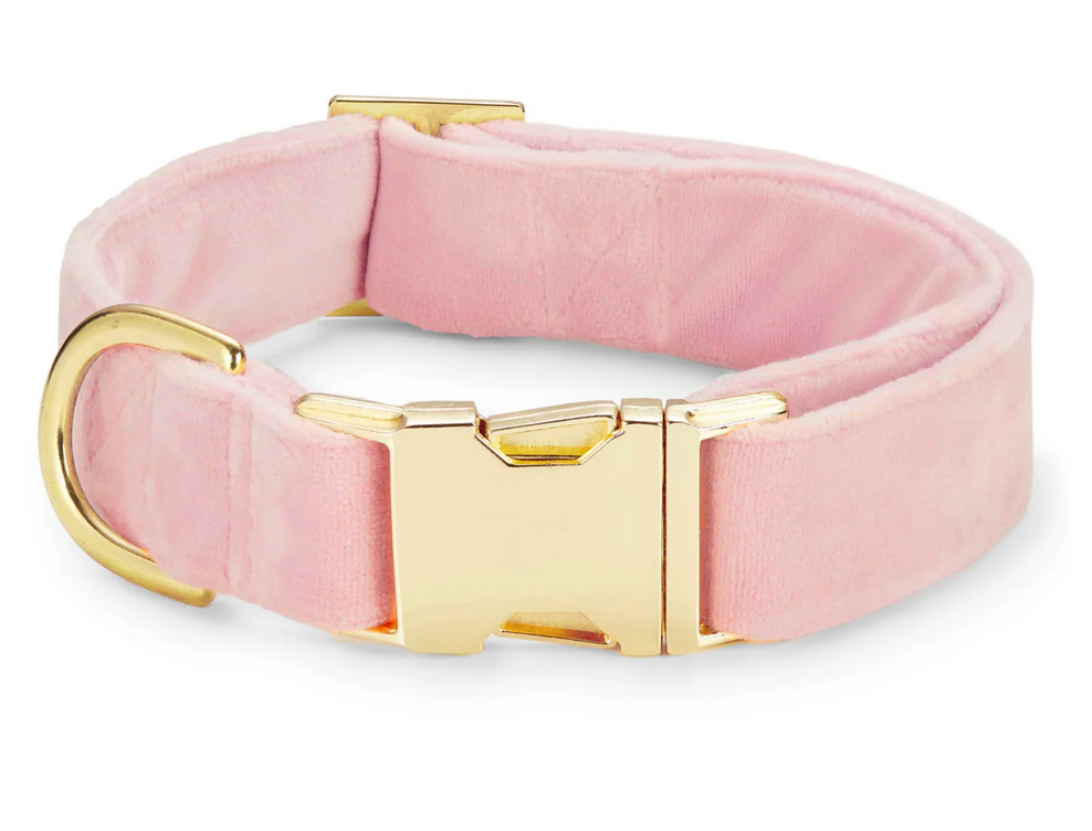 Blush Pink Velvet Dog Collar