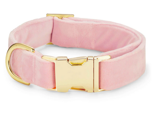 Blush Pink Velvet Dog Collar