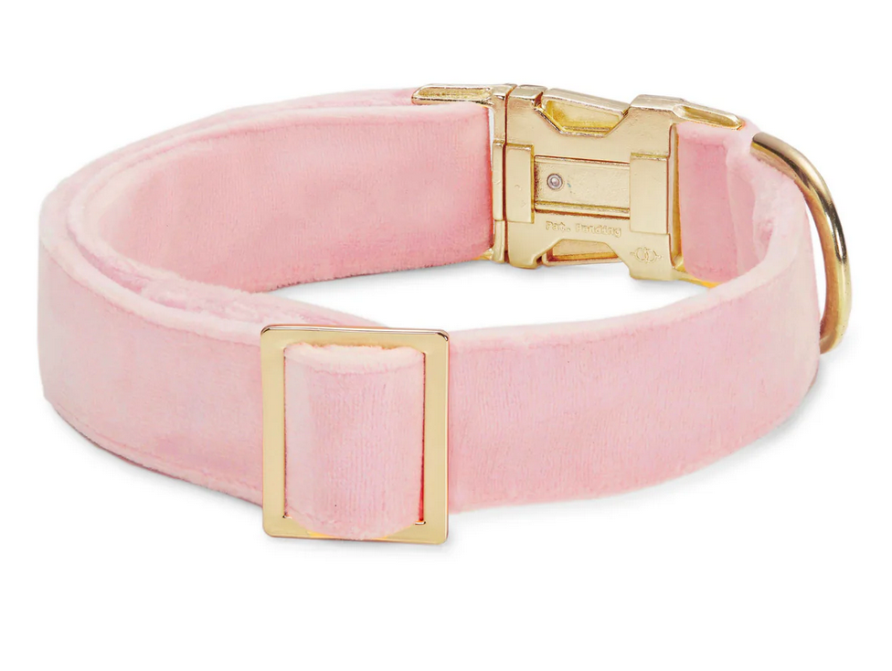 Blush Pink Velvet Dog Collar