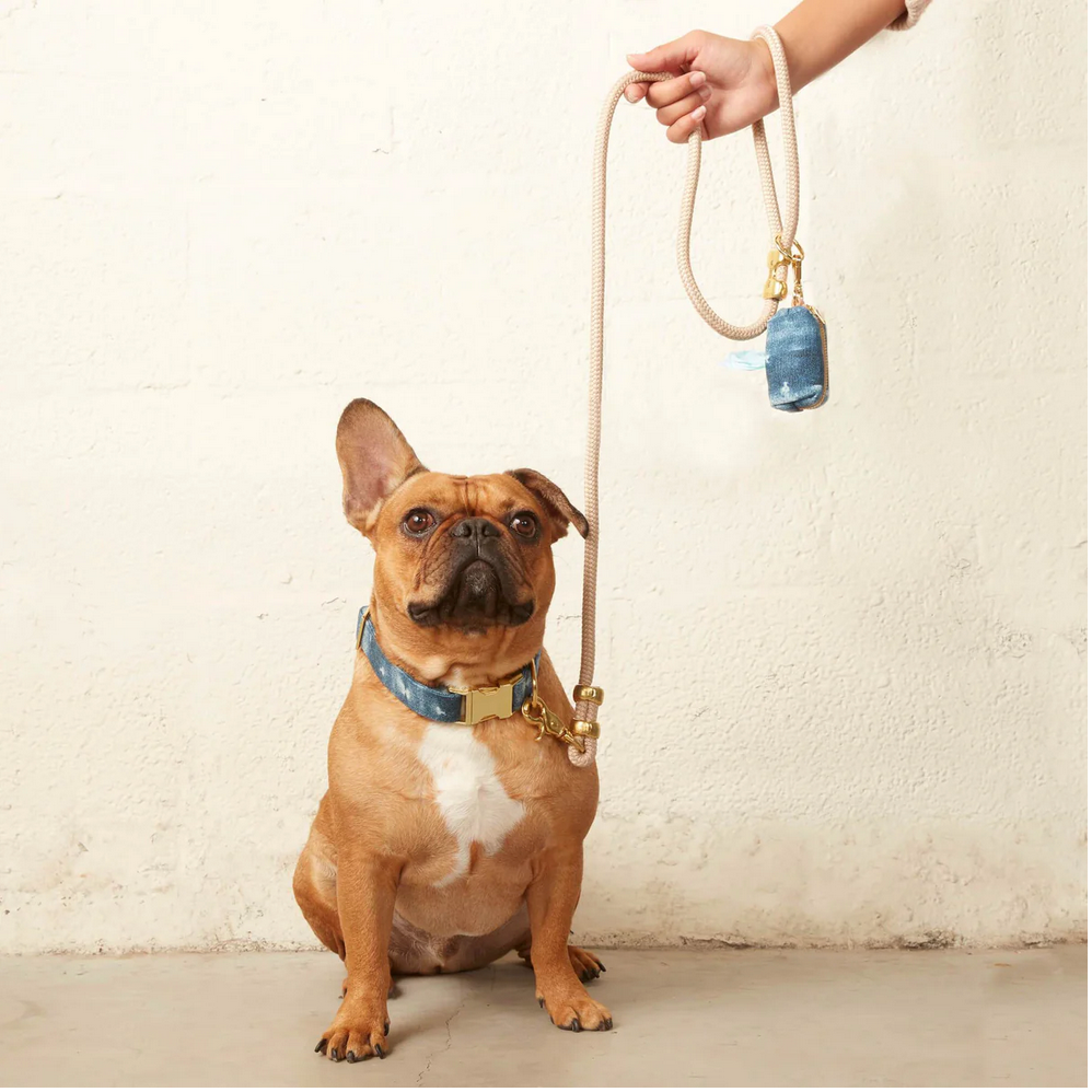 5ft Rope Dog Leash