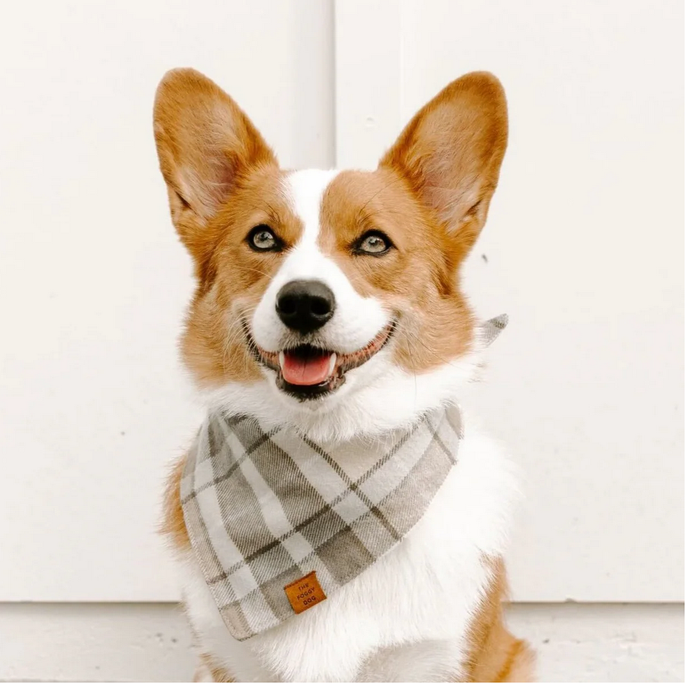 Andover Plaid Flannel Dog Bandana