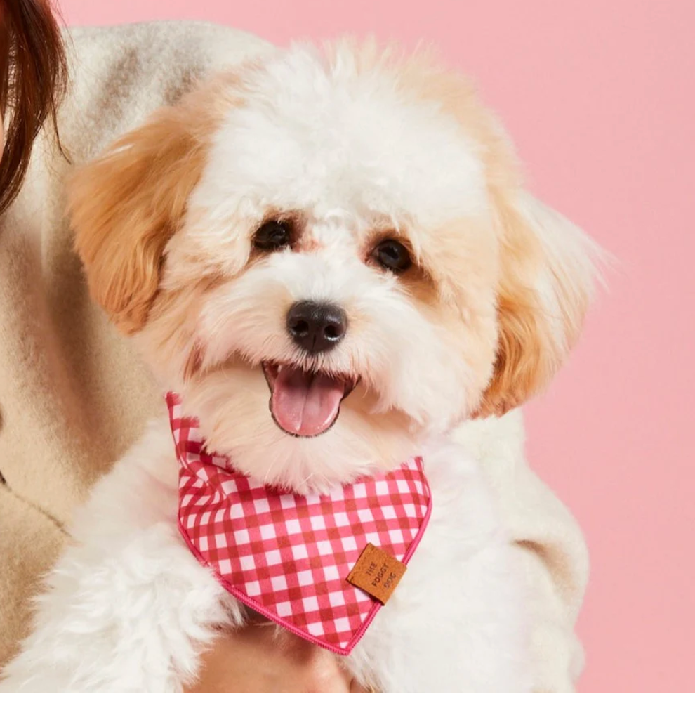 Raspberry Gingham Dog Bandana