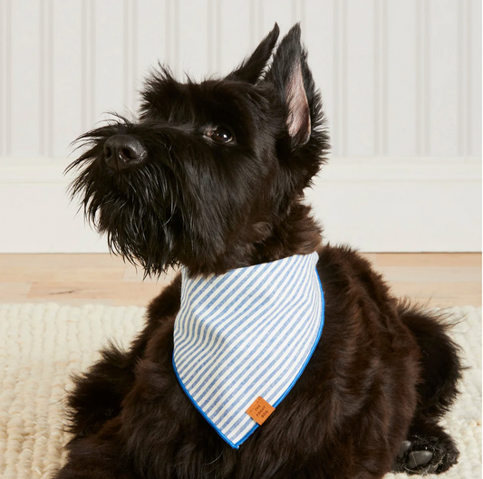 Lake Blue Stripe Dog Bandana