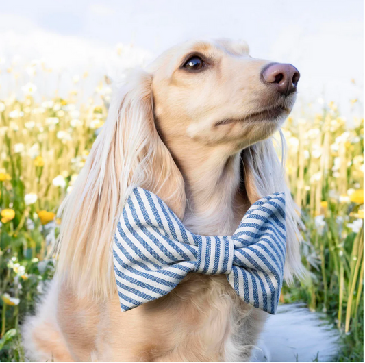 Lake Blue Stripe Dog Bow Tie - Large