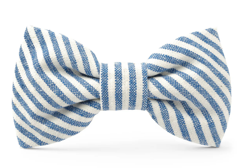 Lake Blue Stripe Dog Bow Tie - Large