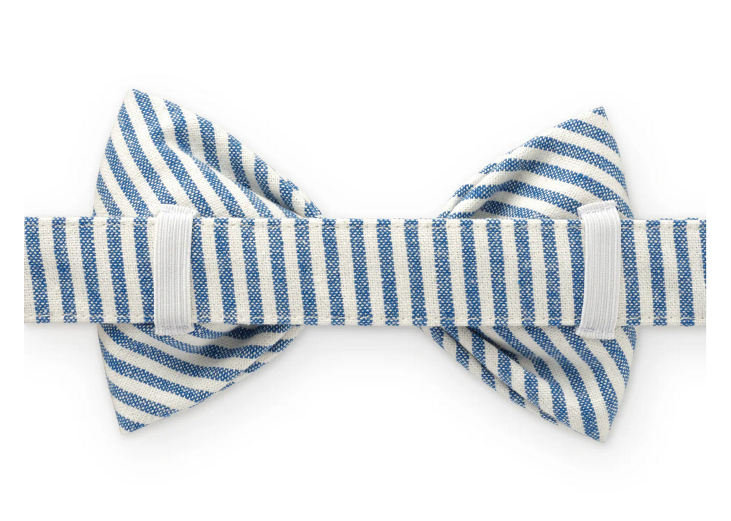 Lake Blue Stripe Dog Bow Tie - Large