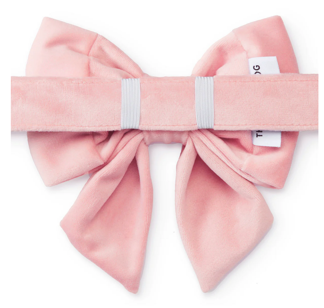 Blush Pink Velvet Lady Dog Bow - Small