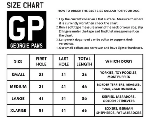 Windsor Collar - Raw