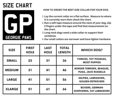 Bald Collar - Chicory