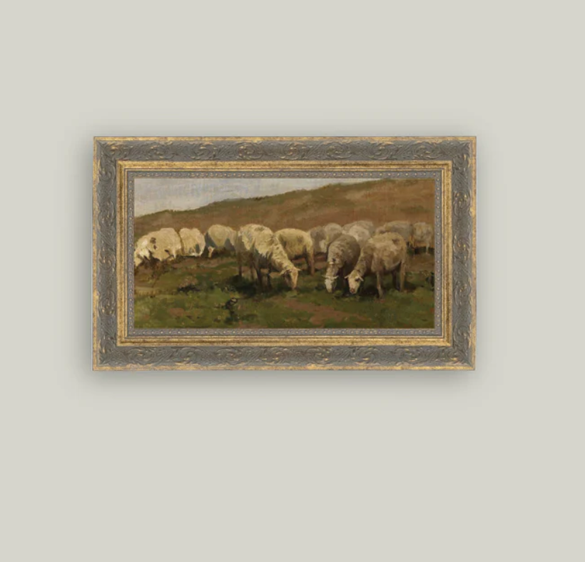 Sheep Landscape