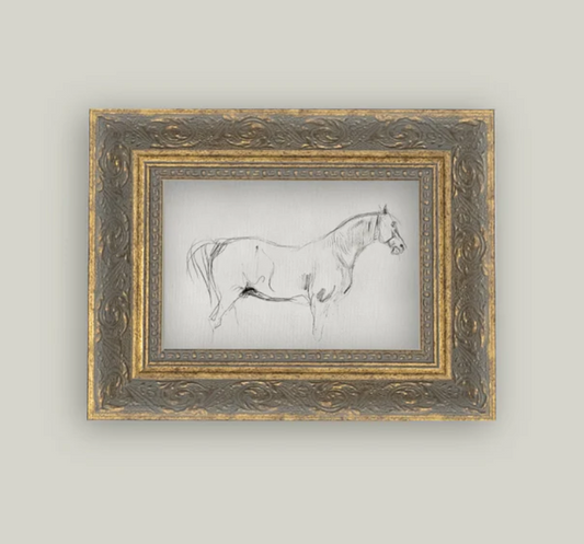 Horse Sketch