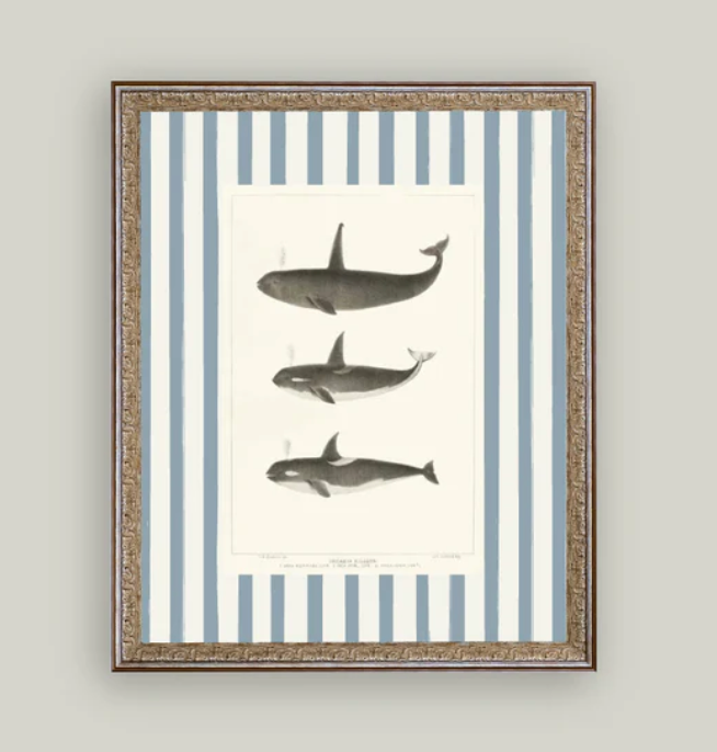 Whales On Stripes