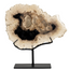 Petrified Log Fossil w/ Stand