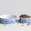 Stoneware Pet Bowl w/ Design