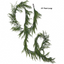 Real Touch Norfolk Pine Garland