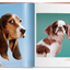 Walter Chandoha Dogs
