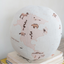 Globe Pillow