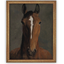 Horse Portrait