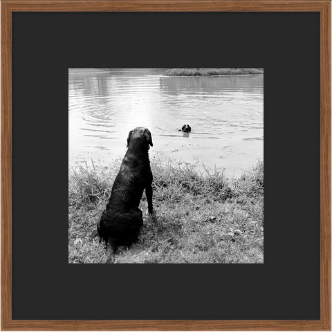 Memories by the Lake 1