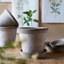 Flora Grey Pot Set