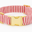 Red Stripe Dog Collar