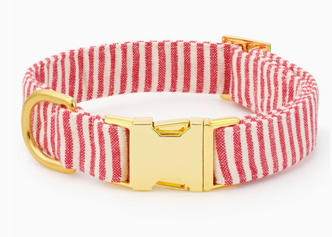 Red Stripe Dog Collar