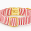 Red Stripe Dog Collar