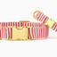 Red Stripe Dog Collar