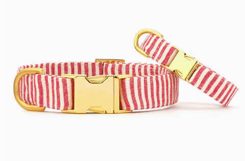 Red Stripe Dog Collar