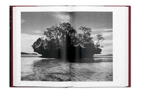 Sebastiao Salgado. GENESIS