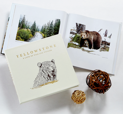 Yellowstone A Land Of Wild And Wonder