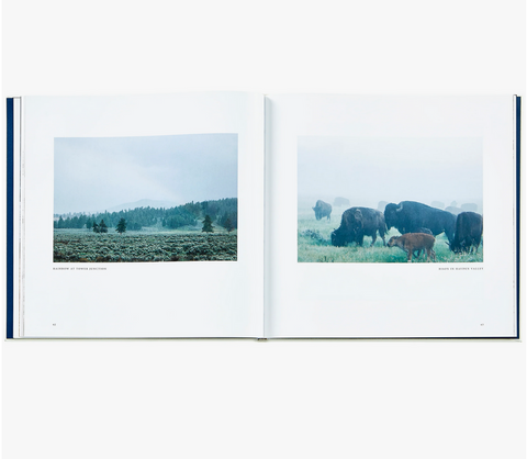 Yellowstone A Land Of Wild And Wonder