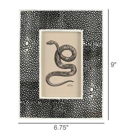 Black Chagrin Picture Frame