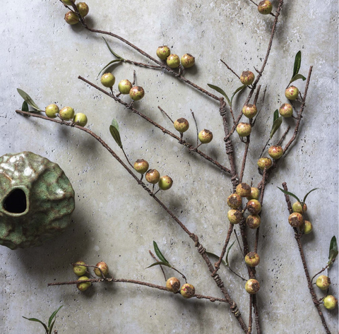 Artificial Rosehip, Dappled