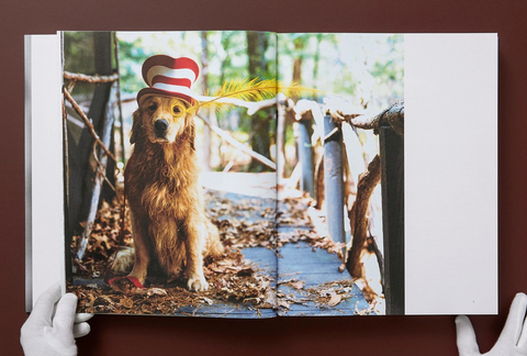 The Golden Retriever Photographic Society - by Bruce Weber