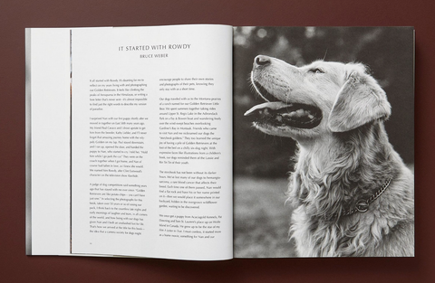 The Golden Retriever Photographic Society - by Bruce Weber