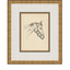 Equine Lines