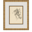 Equine Lines
