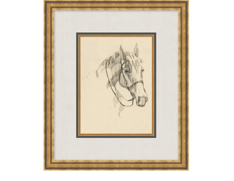 Equine Lines