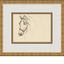 Equine Lines