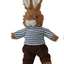 Plush Bunny in Clothes