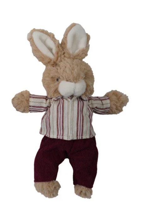 Plush Bunny in Clothes