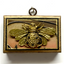 Museum Bees - Bee